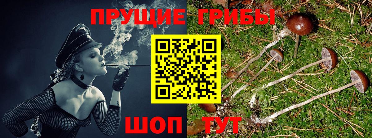 Псилоцибиновые грибы Magic Shrooms  Галлюциногенные грибы Psilocybine cubensis  Вход с VPN  Гудермес 