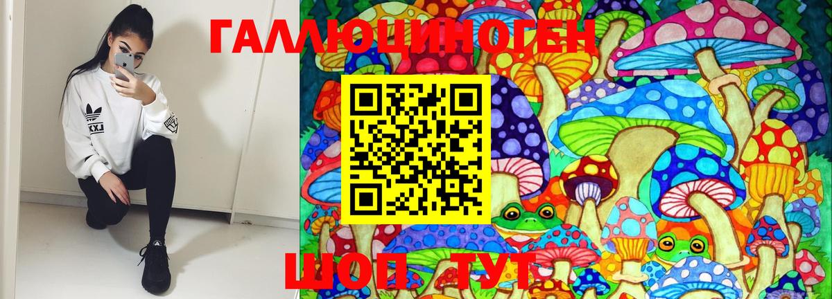 Псилоцибиновые грибы Magic Shrooms Гудермес